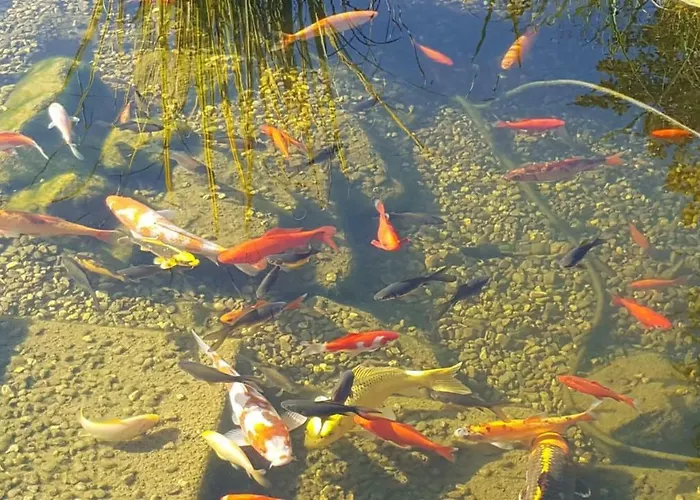 Moderne Komfortwohnung Im Kurort Am Rennsteig