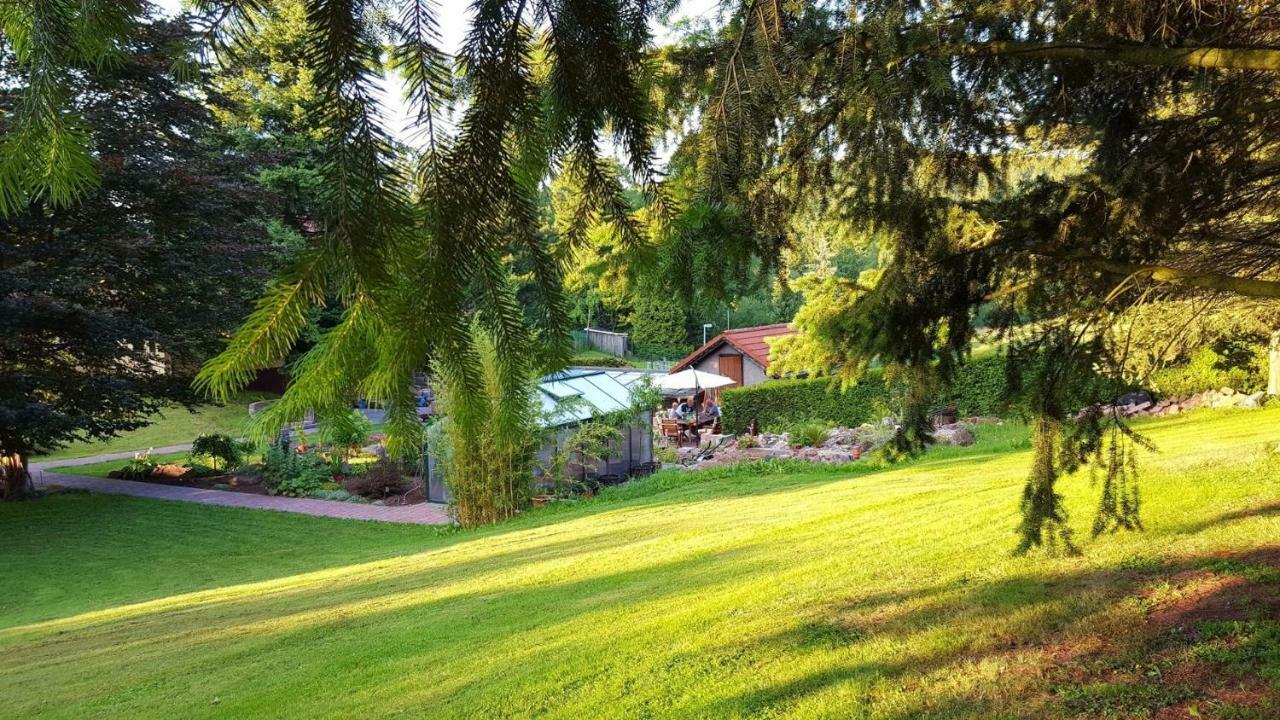 Apartment Moderne Komfortwohnung Im Kurort Am Rennsteig *